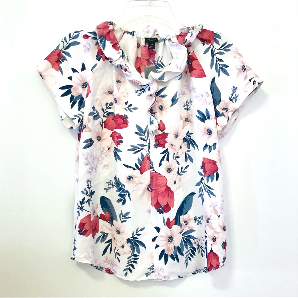 (New) Ann Taylor Floral Top